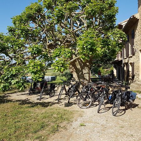 Mas Dans La Campagne Pour Loisirs Et Teletravail Villa Sarrians Bagian luar foto