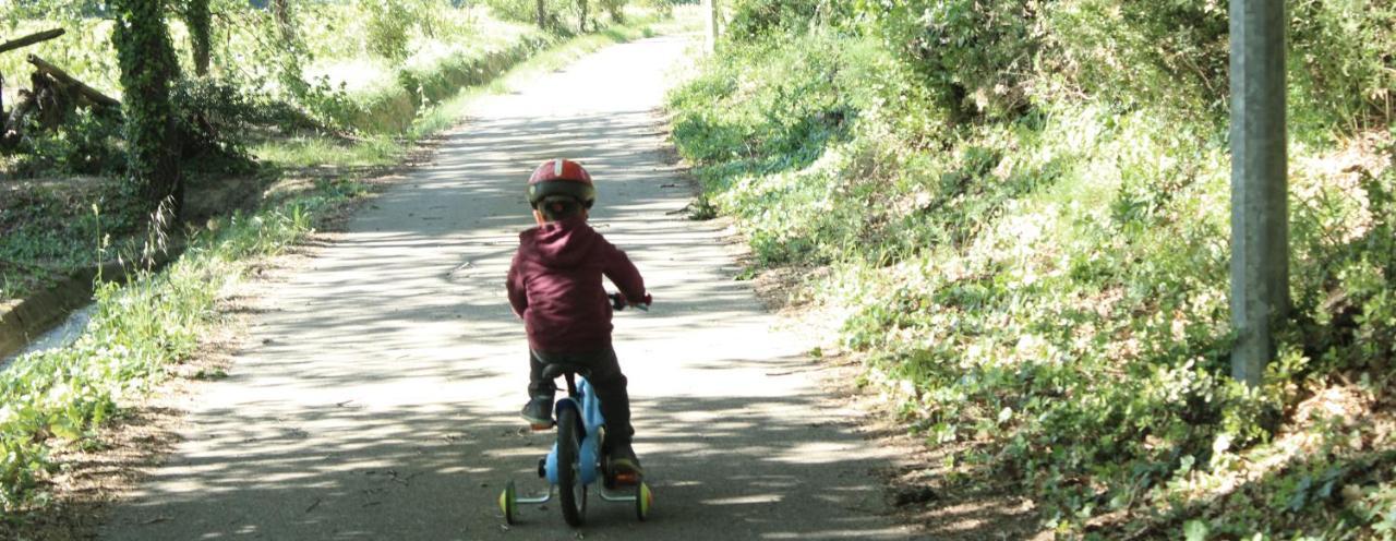 Mas Dans La Campagne Pour Loisirs Et Teletravail Villa Sarrians Bagian luar foto