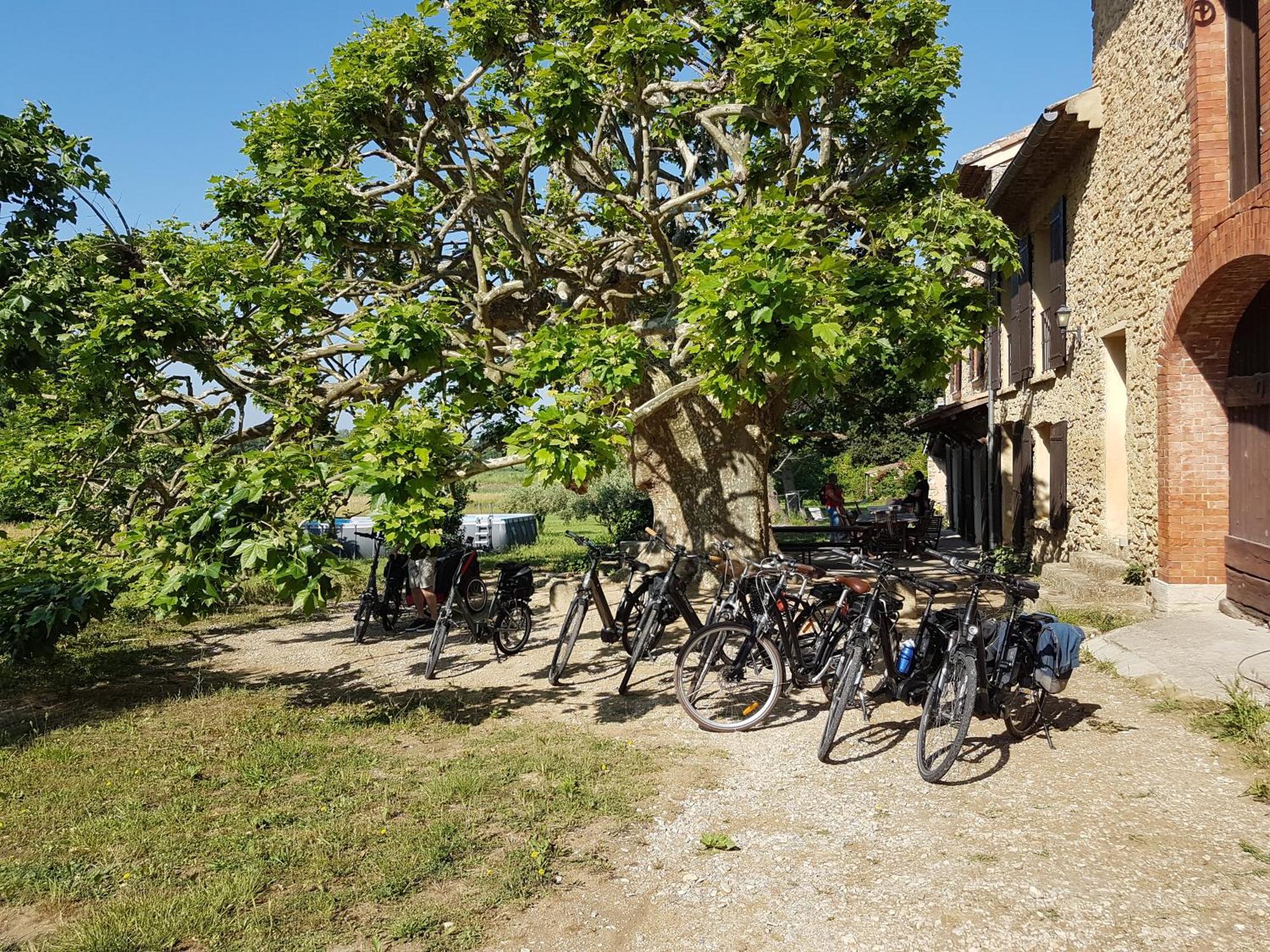 Mas Dans La Campagne Pour Loisirs Et Teletravail Villa Sarrians Bagian luar foto